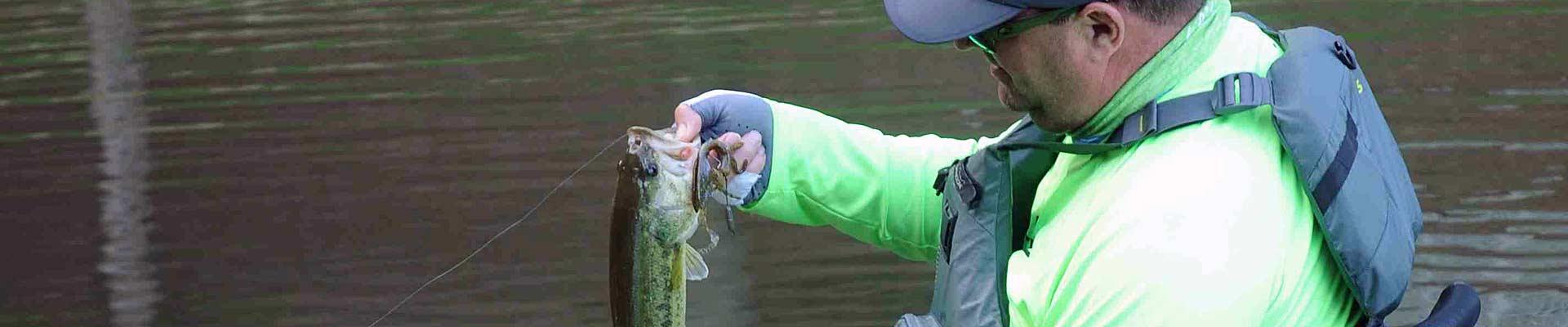 Texas Rig Bass Fishing