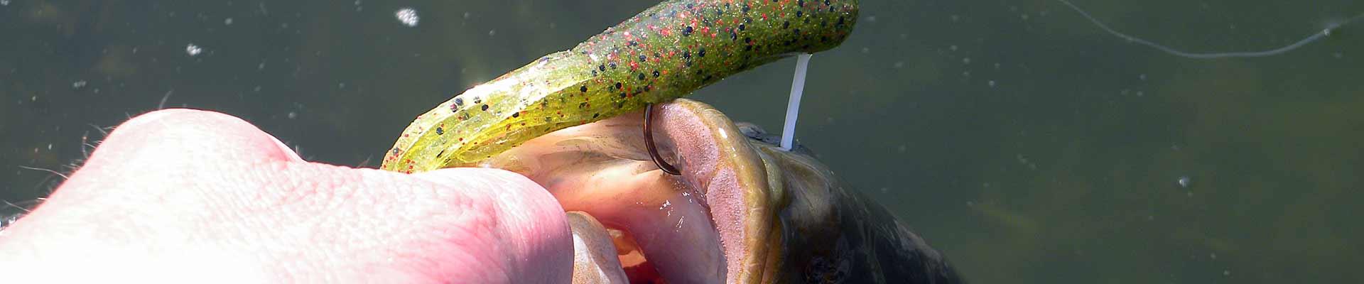 Tube Bait Secrets and Tactics for Bass Fishing