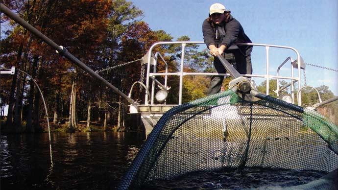 Electrofishing