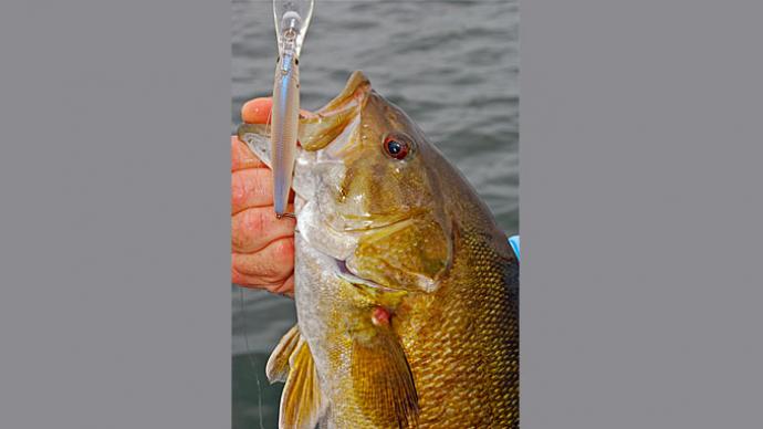 Smallmouth