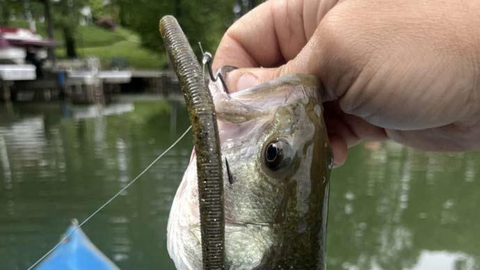 Gamakatsu Nano Alpha Hooks