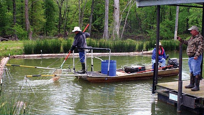 Bass Fishing Techniques