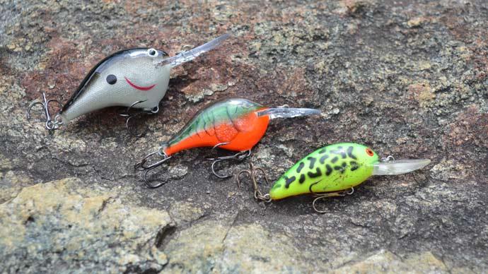 September lures