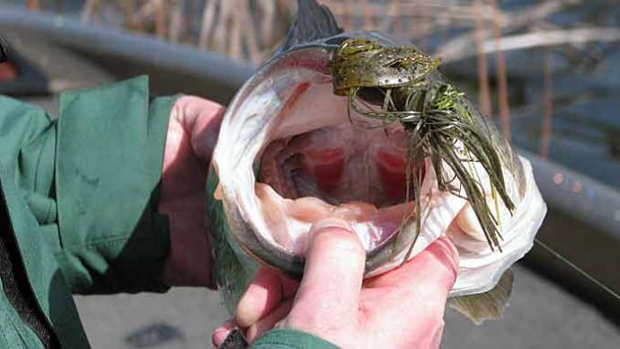 Winter fishing