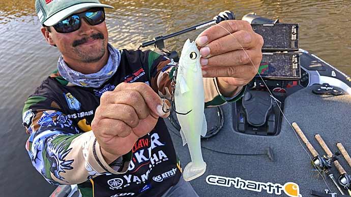 Swimbait tips