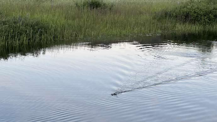 June fishing