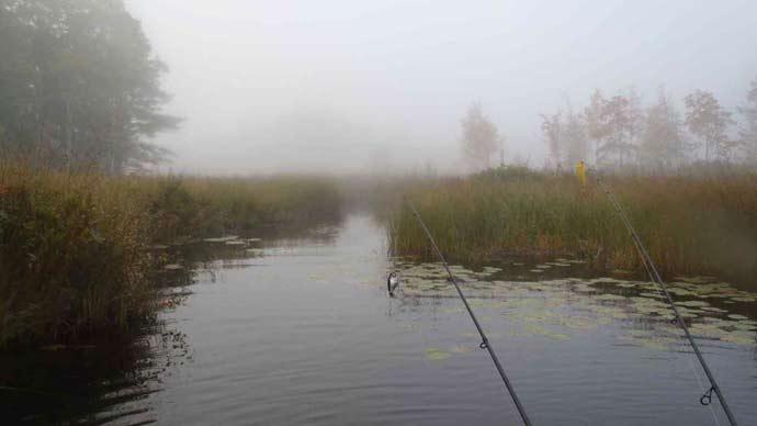 quiet fishing