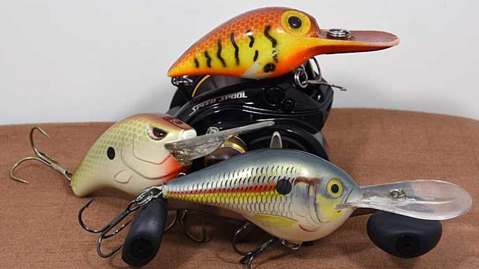 Fall crankbait