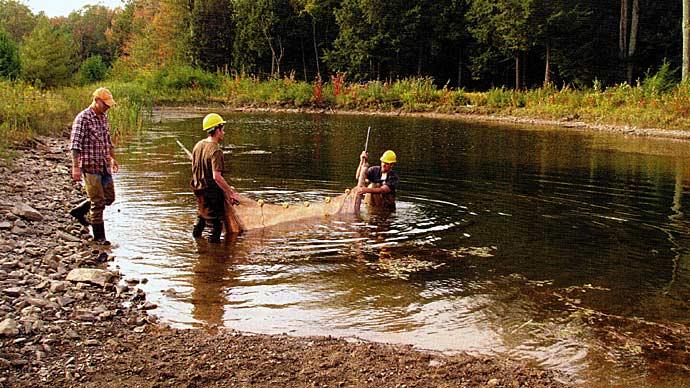 Sampling a fishery