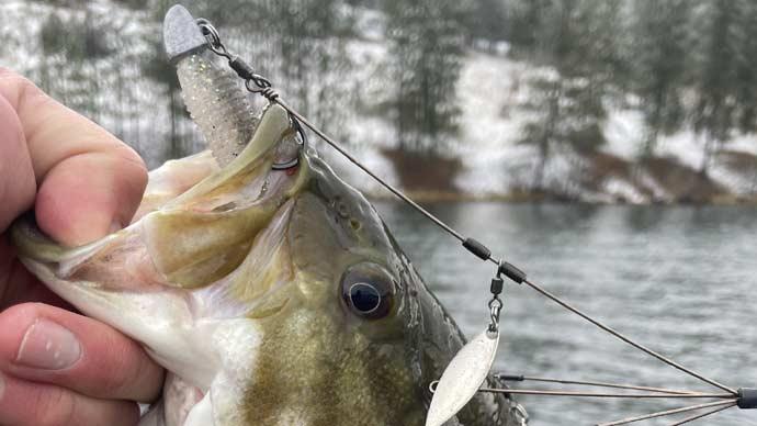 December Bass Fishing