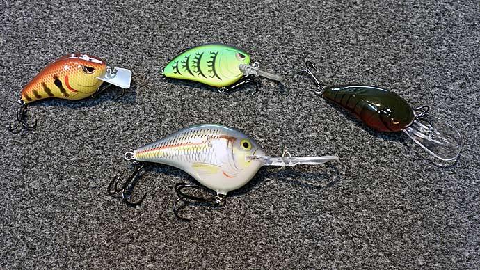 Summer baits