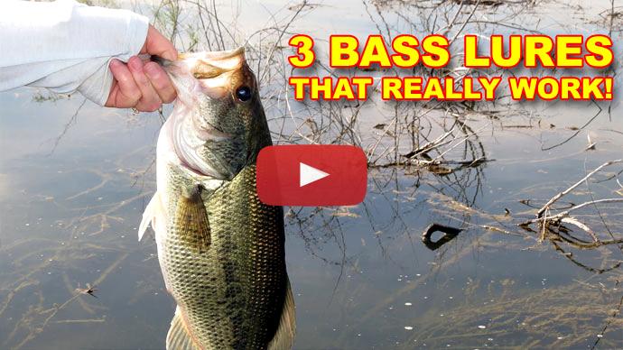 Bass Fishing