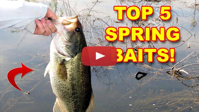 Spring bass fishing