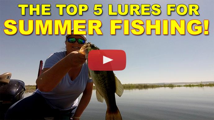 Summer Bass Fishing