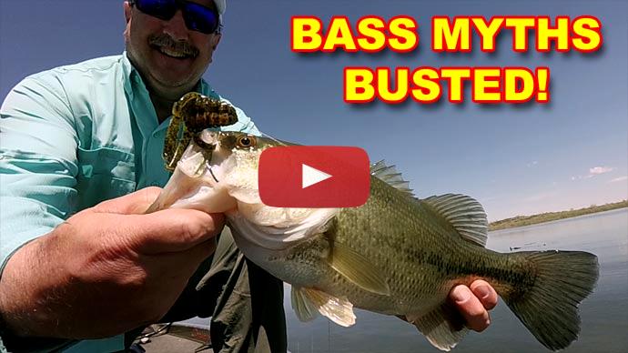 Bass Fishing