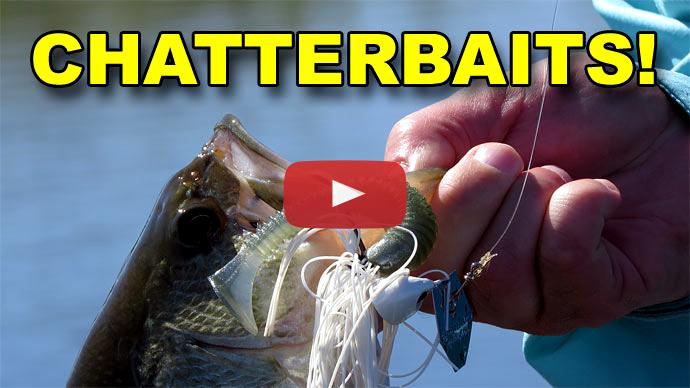 Chatterbait