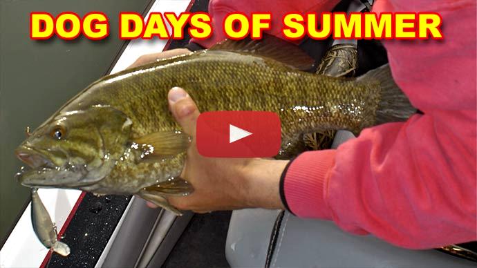 Summer bass fishing