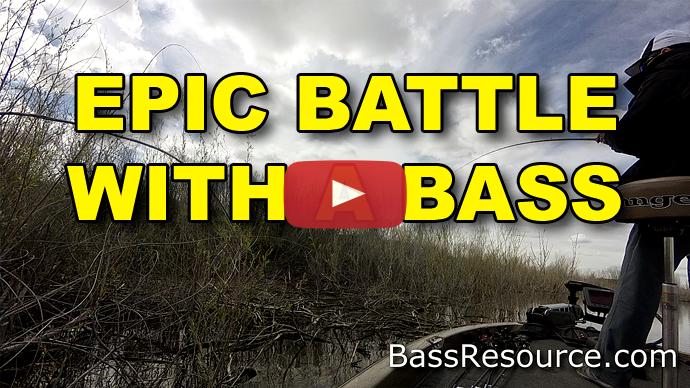 bass battle