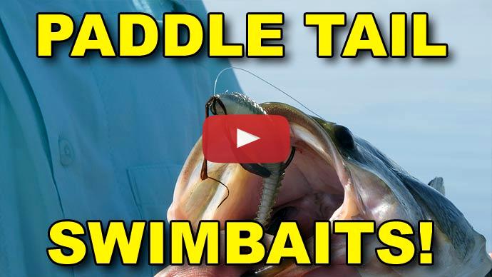 Paddle Tail Swimbaits