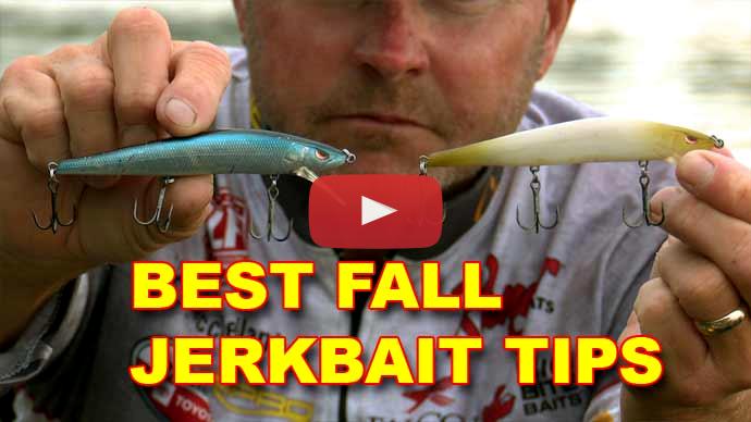 Jerkbait fishing