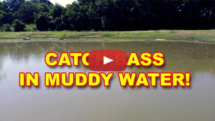 Muddy water