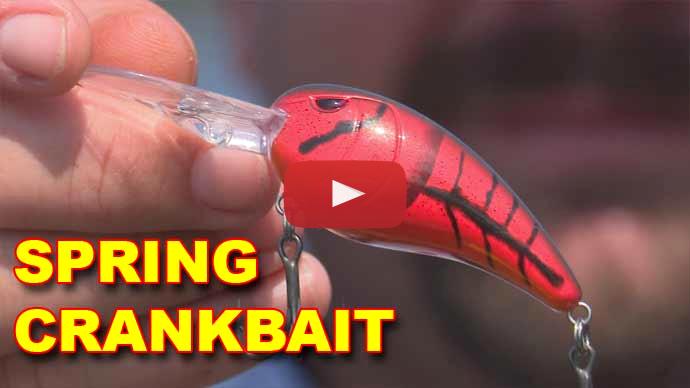 Spring crankbait fishing