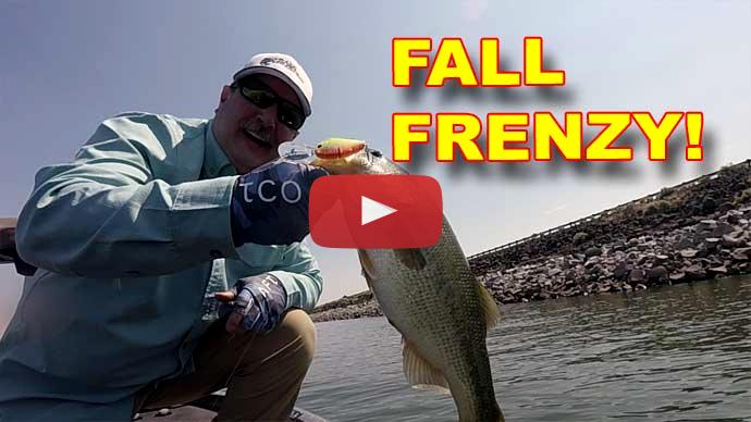 fall bass fishing