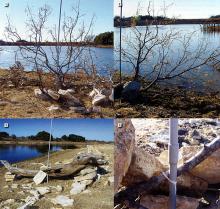 (click to enlarge) 1) The ranch has lots of small mesquite trees. I used mesquite and finished several of the piles with cedar cuttings to hold small fish. 2) A bass attractor. 3) I can already envision pulling a giant bass off this old log, hoping she doesn't wrap me up. 4) This is the marking system 1 use to be able to find the brushpiles under water.